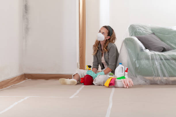 Reliable Mold Remediation contractor in Young America, MN by WQB Mold Removal